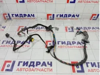 Проводка двери передней левой Nissan Qashqai 24124JD11A