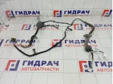Проводка двери передней правой Nissan Qashqai 24125JD06C