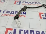 Проводка двери задней левой Nissan Qashqai 24126JD10B