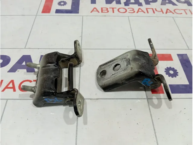 Петли двери задней левой Nissan Qashqai