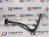 Горловина топливного бака Nissan Qashqai 17221JD000