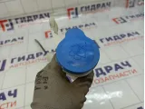 Горловина бачка омывателя Nissan Qashqai 28916JD00B