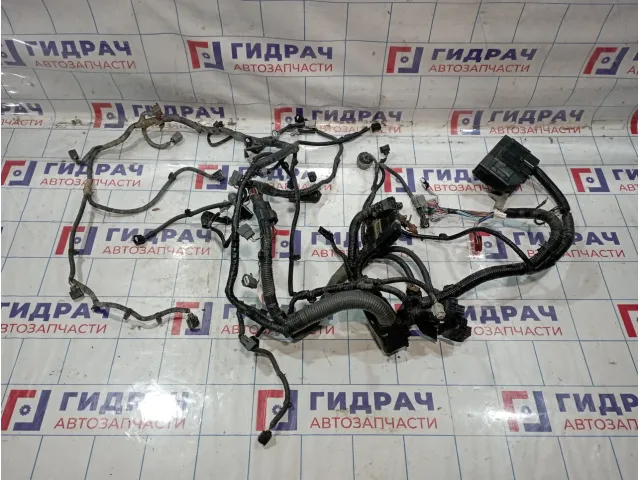 Проводка двигателя Nissan Roque (T32) 24011-9TG0A