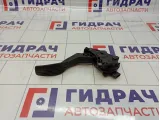 Педаль газа Nissan Roque (T32) 18002-4BA0A