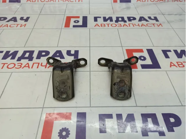 Петли двери передней левой Nissan Roque (T32)