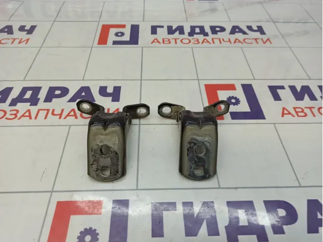 Петли двери передней правой Nissan Roque (T32)