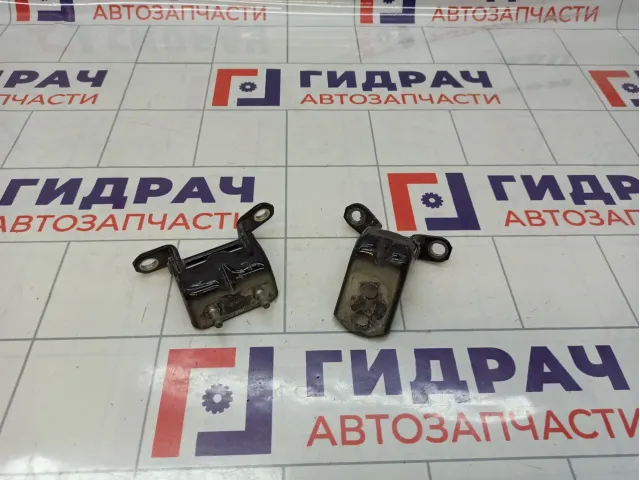 Петли двери задней левой Nissan Roque (T32)