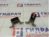 Петли двери задней левой Nissan Roque (T32)