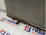 Радиатор основной Nissan Roque (T32) 21460-4BA0B