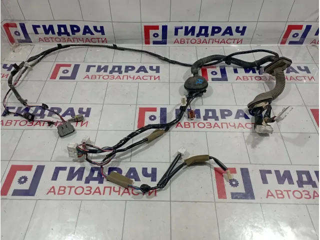Проводка двери передней левой Nissan Teana (J32) 24125-JN90D