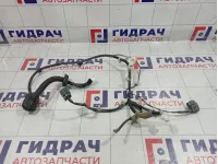 Проводка двери задней правой Nissan Teana (J32) 24126-JN20C