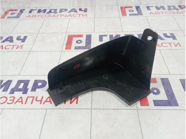 Брызговик пзадний правый Nissan Teana (J32)