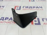 Брызговик пзадний правый Nissan Teana (J32)