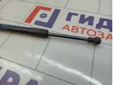Амортизатор крышки багажника Nissan Teana (J32) 84430-JN00A