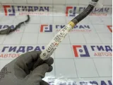 Проводка крышки (двери) багажника Nissan Teana 24025JN20A