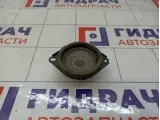 Динамик Nissan Teana 28154JN23A