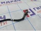 Клемма аккумулятора минус Nissan Teana (J31) 24080-CA000