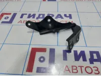 Петля капота правая Nissan Teana (J31) 65400-9Y000