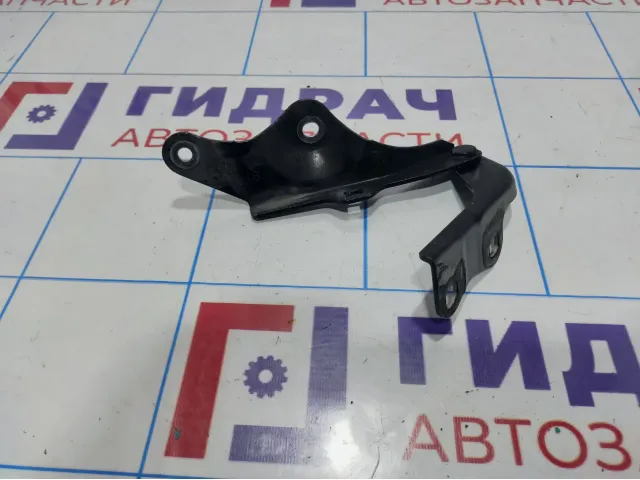 Петля капота правая Nissan Teana (J31) 65400-9Y000
