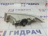 Фара противотуманная правая Nissan Teana (J31) 26150-7W50B
