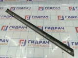 Молдинг передней правой двери Nissan Teana (J31) 80876-9Y010