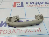 Ручка внутренняя потолочная задняя Nissan Teana (J31) 73940-9W65A