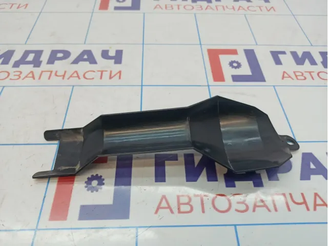 Пыльник Nissan Teana (J31) 48985-9W000