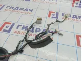 Проводка двери передней правой Nissan Teana (J31) 24124-9W85B