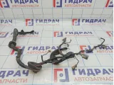 Проводка двери передней левой Nissan Teana (J31) 24125-9W85B
