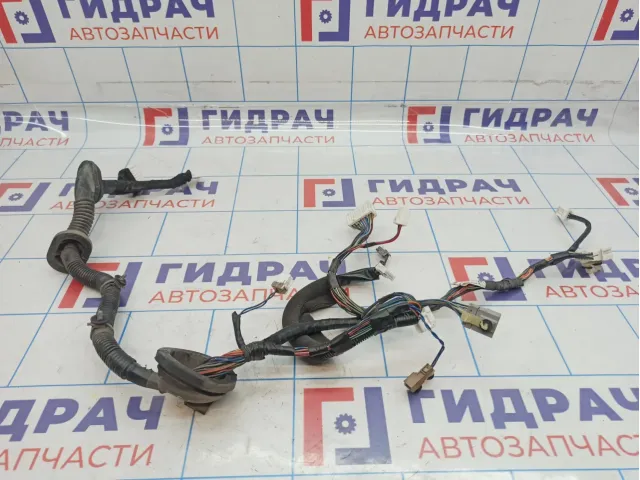 Проводка двери передней левой Nissan Teana (J31) 24125-9W85B