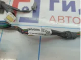 Проводка двери передней левой Nissan Teana (J31) 24125-9W85B