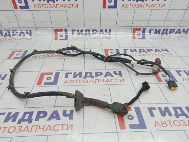 Проводка двери задней левой Nissan Teana (J31) 24126-9W50A