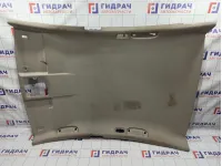 Обшивка потолка Nissan Teana (J31) 73910-9W81A