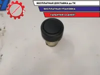 Прикуриватель Nissan Terrano III 253316754R Отличное состояние.