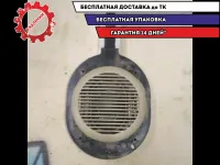 Динамик Nissan Terrano III 51983985B06 Отличное состояние.