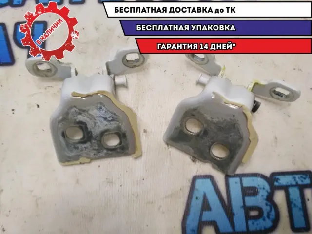 Петли двери левой (пара) Nissan Terrano III Renault/Nissan Отличное состояние.