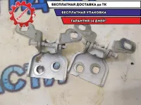 Петли двери правой (пара) Nissan Terrano III Renault/Nissan Отличное состояние.