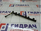 Топливная рампа (топливная рейка) Nissan Terrano 8200053030
