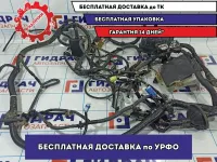 Проводка моторная Nissan Tiida 24012-EM56E.
