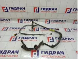Проводка двери передней левой Nissan Tiida (C11) 24125-EM02A