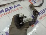 Проводка двери передней левой Nissan Tiida (C11) 24125-EM02A