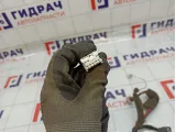 Проводка двери задней левой Nissan Tiida (C11) 24127-EM00A