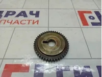 Шестерня (шкив) распредвала Nissan X-Trail (T30) 13024-AU420