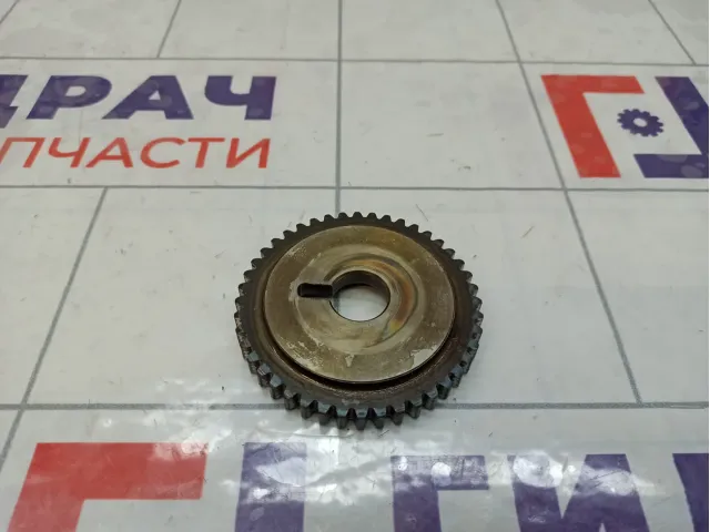 Шестерня (шкив) распредвала Nissan X-Trail (T30) 13024-AU420