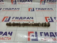 Распредвал выпускной Nissan X-Trail (T30) 13020-AE010