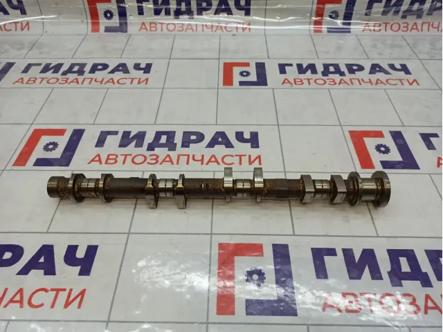 Распредвал выпускной Nissan X-Trail (T30) 13020-AE010