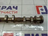 Распредвал выпускной Nissan X-Trail (T30) 13020-AE010