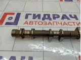 Распредвал выпускной Nissan X-Trail (T30) 13020-AE010