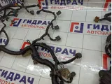 Проводка двигателя Nissan X-Trail (T30) 24011-EQ410