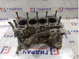 Блок двигателя Nissan X-Trail (T30) 11000-8H751